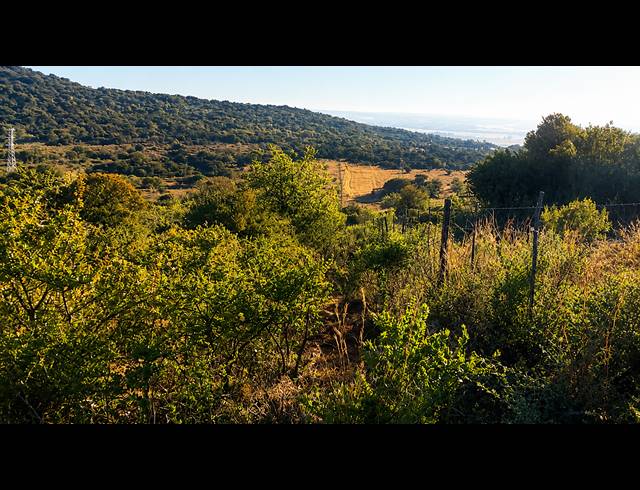 14.80HA FARM FOR SALE IN BLESBOKLAAGTE